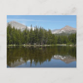 Yosemite Lake Reflection Briefkaart (Voorkant)