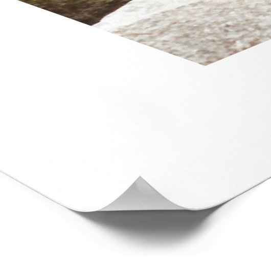 Yosemite Mirror Lake Poster (Hoek)