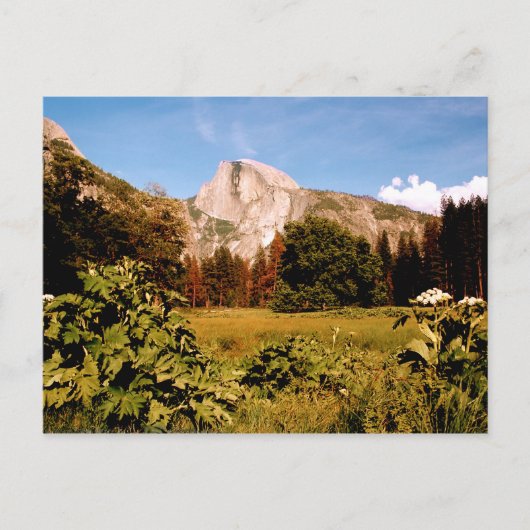 Yosemite National Park California Briefkaart (Voorkant)