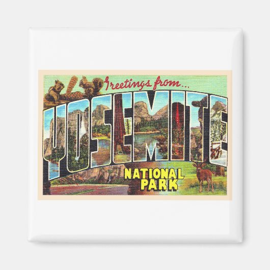 Yosemite National Park California  Briefkaart Magneet (Voorkant)