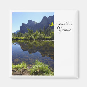 Yosemite National Park California Magneet