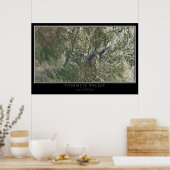 Yosemite National Park California Satellite Map Poster (Keuken)