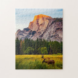 Yosemite National Park Californië Berg Natuurleven Legpuzzel