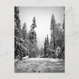 Yosemite National Park, Californië Briefkaart