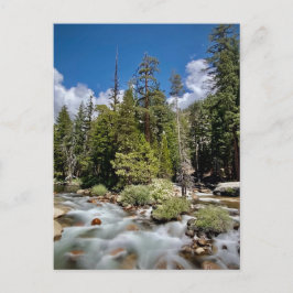 Yosemite National Park, Californië Briefkaart