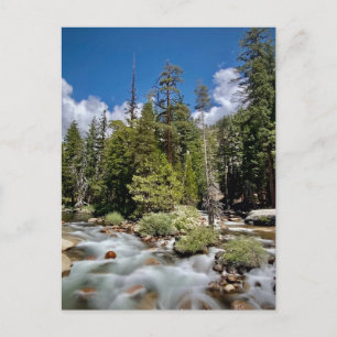 Yosemite National Park, Californië Briefkaart