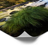 Yosemite National Park, Californië Poster (Hoek)