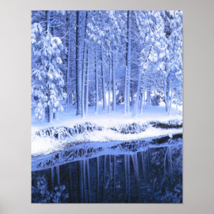 YOSEMITE NATIONAL PARK, CALIFORNIE. VS. Fris Poster