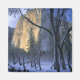 YOSEMITE NATIONAL PARK, CALIFORNIË. VS. Licht Magneet