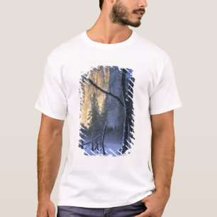 YOSEMITE NATIONAL PARK, CALIFORNIË. VS. Licht T-shirt
