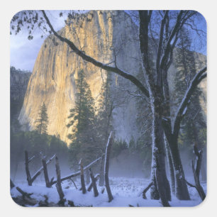 YOSEMITE NATIONAL PARK, CALIFORNIË. VS. Licht Vierkante Sticker