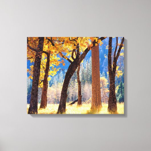 Yosemite National Park Canvas Afdruk (Voorkant)
