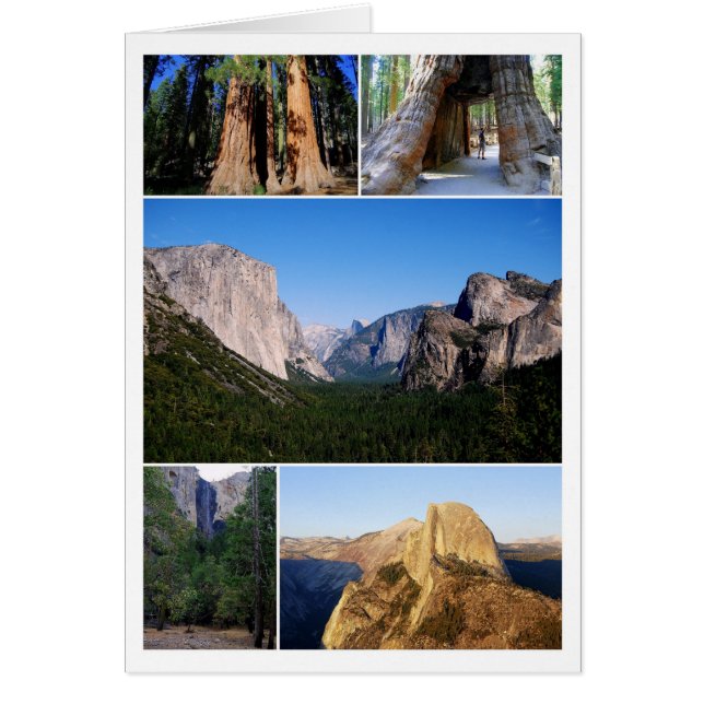 Yosemite National Park Collage Card (Voorkant)