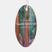 Yosemite National Park kerstboomversiering Metalen Ornament (Voorkant Rechts)