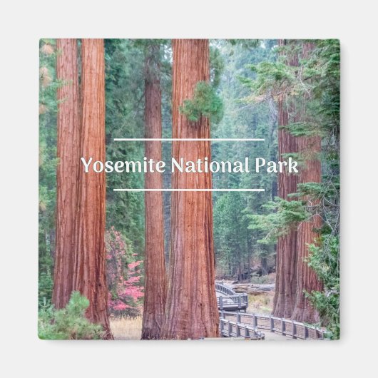 Yosemite National Park Magnet (Voorkant)