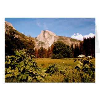 Yosemite National Park meadow card