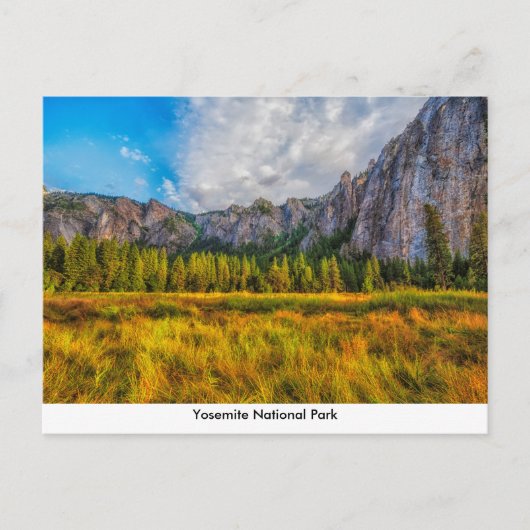 Yosemite National Park Post Card Briefkaart (Voorkant)