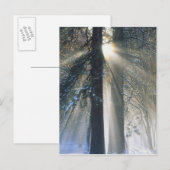 Yosemite National Park - Sun-straling Briefkaart (Voorkant / Achterkant)