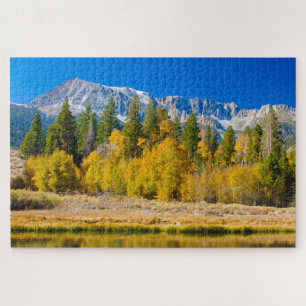 Yosemite National Park Tioga Pass Legpuzzel