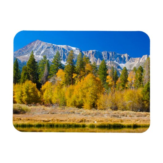 Yosemite National Park Tioga Pass Magneet (Horizontaal)