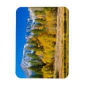 Yosemite National Park Tioga Pass Magneet (Verticaal)