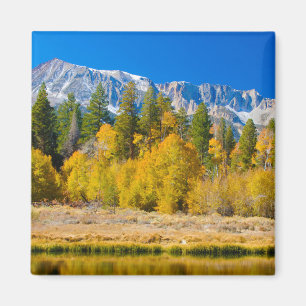 Yosemite National Park Tioga Pass Magneet