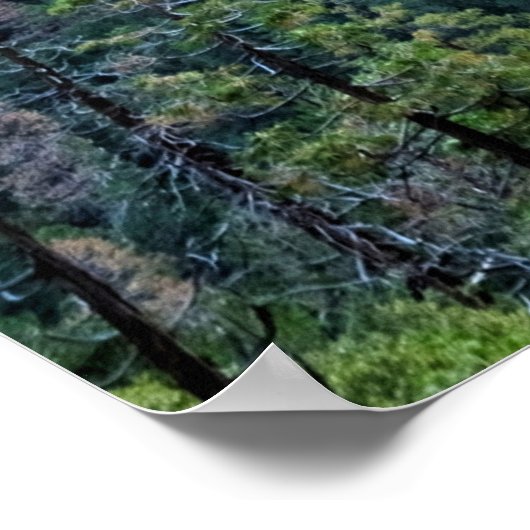 Yosemite National Park, Verenigde Staten Poster (Hoek)