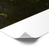 Yosemite National Park Verschillend Uitzicht Poster (Hoek)