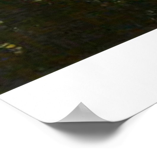 Yosemite National Park Verschillend Uitzicht Poster (Hoek)