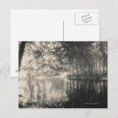 Yosemite Park Wyoming Briefkaart (Voorkant / Achterkant)