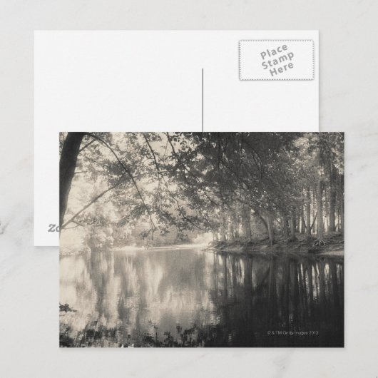 Yosemite Park Wyoming Briefkaart (Voorkant / Achterkant)