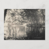 Yosemite Park Wyoming Briefkaart (Voorkant)