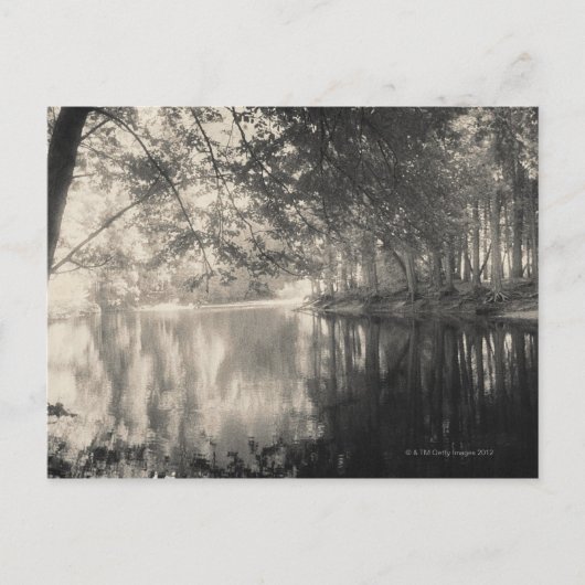 Yosemite Park Wyoming Briefkaart (Voorkant)