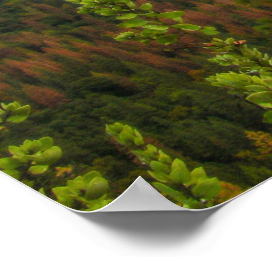 Yosemite Poster (Hoek)