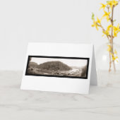 Yosemite Railroad Foto 1907 Kaart (Gele Bloem)