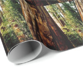 Yosemite Redwood Cadeaupapier (Rol Hoek)