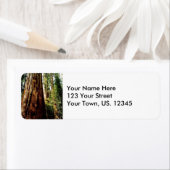 Yosemite Redwood Etiket (Insitu)