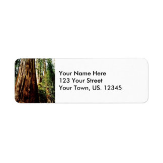 Yosemite Redwood Etiket