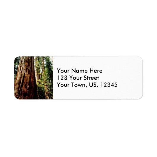 Yosemite Redwood Etiket (Voorkant)