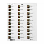 Yosemite Redwood Etiket (Full Sheet)