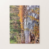 Yosemite River Forest Park. Legpuzzel (Verticaal)