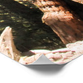 Yosemite sequoia kleurenfoto-poster afdrukken poster (Hoek)