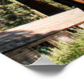 Yosemite Sequoias Poster (Hoek)