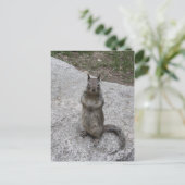 Yosemite Squirrel Briefkaart (Staand voorkant)