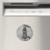 Yosemite Squirrel Magneet (Insitu (Vaatwasser))