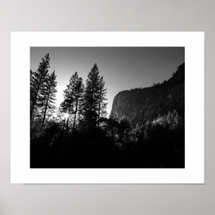 Yosemite Sunlit Trees Black en White Photography Poster