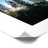 Yosemite Sunlit Trees Color Photography Poster (Hoek)