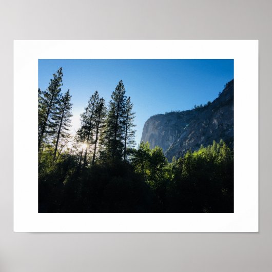 Yosemite Sunlit Trees Color Photography Poster (Voorkant)