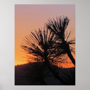 Yosemite Sunset Poster