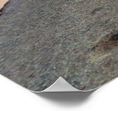 Yosemite Tenaya Lake Poster (Hoek)